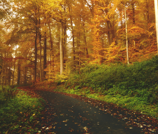 services-04 Services 04