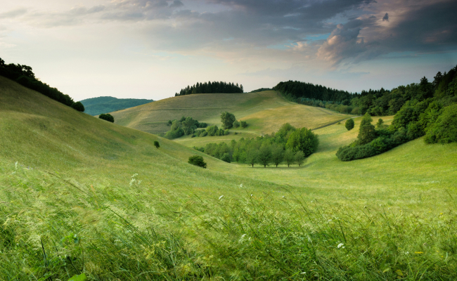 who-we-are Who We Are